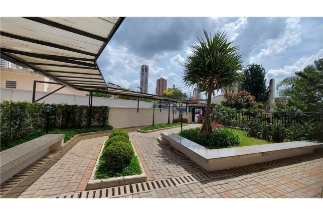 Imagem Apartamento com 3 Quartos à Venda, 61 m² em Vila Formosa - São Paulo Imagem Apartamento com 3 Quartos à Venda, 61 m² em Vila Formosa - São Paulo
