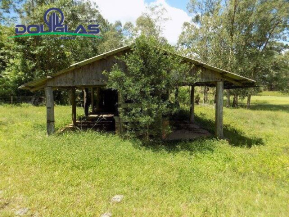 Imagem Chácara com 2 Quartos à Venda, 190.000 m² em Viamão