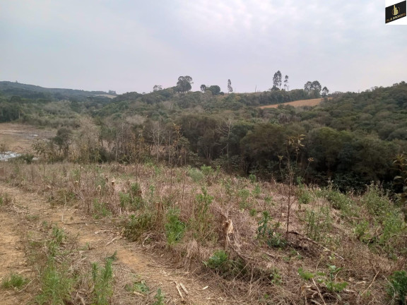 Imagem Imóvel à Venda, 96.800 m² em Colonia Marcelino - São José Dos Pinhais Imagem Imóvel à Venda, 96.800 m² em Colonia Marcelino - São José Dos Pinhais