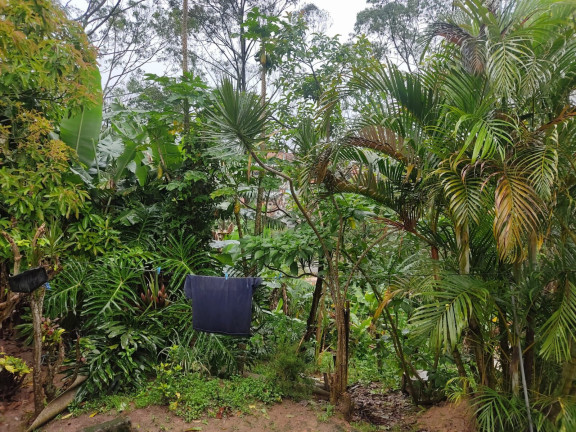 Imagem Imóvel com 2 Quartos à Venda, 1.200 m² em Jardim Nova Conquista - São Paulo Imagem Imóvel com 2 Quartos à Venda, 1.200 m² em Jardim Nova Conquista - São Paulo