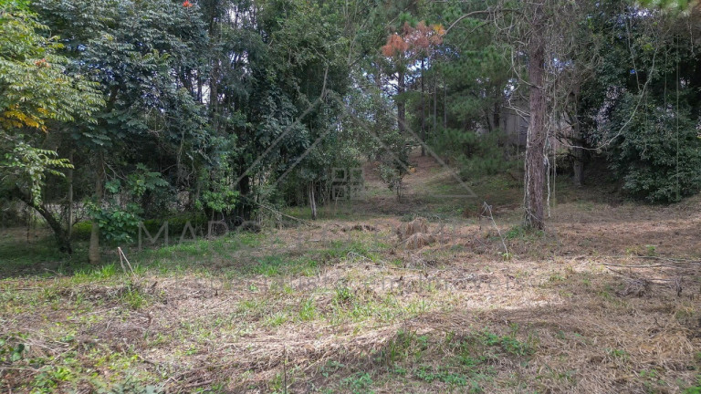 Imagem Terreno à Venda, 21.000 m² em Chácaras Alpina - Valinhos Imagem Terreno à Venda, 21.000 m² em Chácaras Alpina - Valinhos