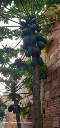 Imagem Chácara à Venda, em Bairro Altos De Caucaia - Cotia Imagem Chácara à Venda, em Bairro Altos De Caucaia - Cotia