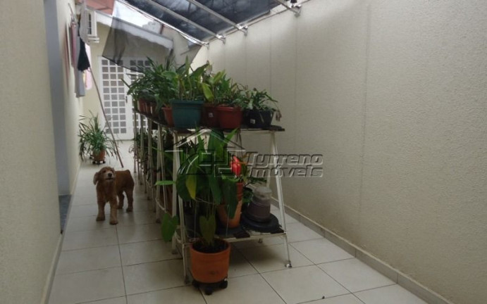 Imagem Casa com 5 Quartos à Venda, 233 m² em Vila Betânia - São José Dos Campos Imagem Casa com 5 Quartos à Venda, 233 m² em Vila Betânia - São José Dos Campos