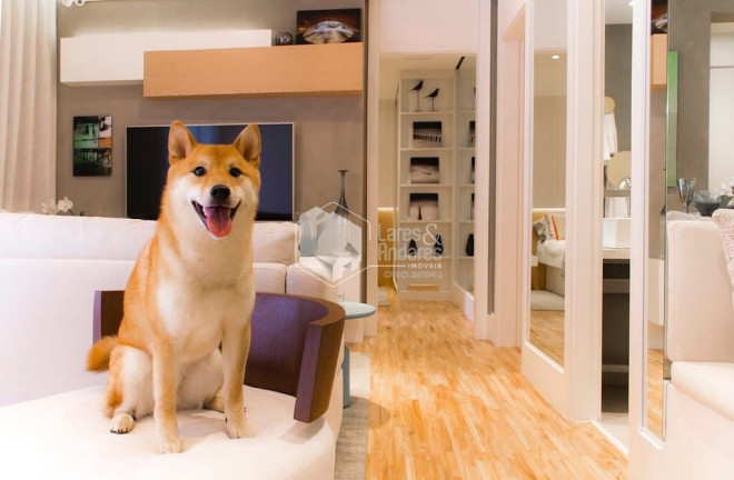 Imagem Apartamento com 2 Quartos à Venda, 65 m² em Vila Mascote - São Paulo Imagem Apartamento com 2 Quartos à Venda, 65 m² em Vila Mascote - São Paulo