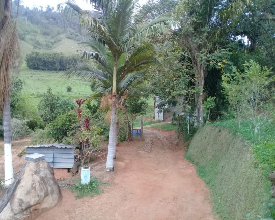 Imagem Imóvel com 4 Quartos à Venda, 5.000 m² em Distrito De Juiz De Fora - Monte Verde(juiz De Fora)