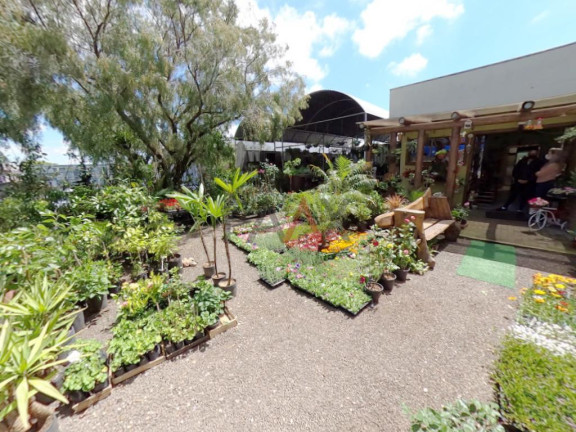 Imagem Terreno à Venda, 381 m² em Centro - Guarapuava Imagem Terreno à Venda, 381 m² em Centro - Guarapuava