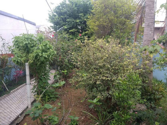 Imagem Casa com 1 Quarto à Venda, 254 m² em Jardim Ana Rosa - São Paulo