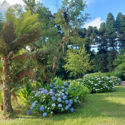 Imagem Casa com 3 Quartos à Venda, 215 m² em Mato Queimado - Gramado Imagem Casa com 3 Quartos à Venda, 215 m² em Mato Queimado - Gramado