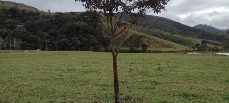 Imagem Chácara com 1 Quarto à Venda, 120 m² em Alto Do Cardoso - Pindamonhangaba Imagem Chácara com 1 Quarto à Venda, 120 m² em Alto Do Cardoso - Pindamonhangaba