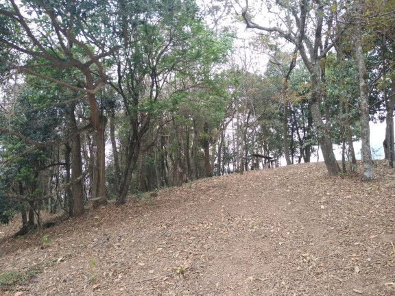 Imagem Imóvel com 6 Quartos à Venda, 300 m² em Laranjeiras - Caldas Imagem Imóvel com 6 Quartos à Venda, 300 m² em Laranjeiras - Caldas
