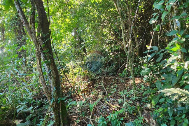 Imagem Terreno à Venda, 950 m² em Centro - Maricá
