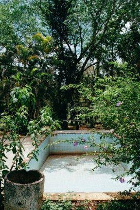 Imagem Fazenda à Venda, 108.691 m² em Zona Rural - Igarapé Imagem Fazenda à Venda, 108.691 m² em Zona Rural - Igarapé