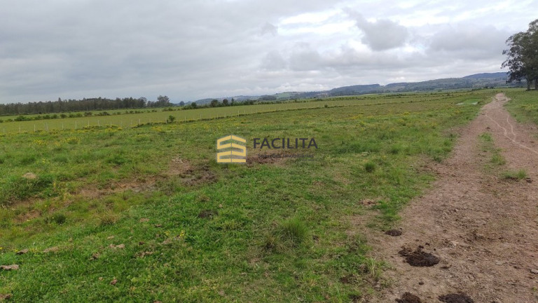Imagem Imóvel com 3 Quartos à Venda, 660.000 m² em Hidráulica - Capão Do Leão Imagem Imóvel com 3 Quartos à Venda, 660.000 m² em Hidráulica - Capão Do Leão