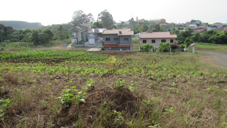 Imagem Terreno à Venda, 601 m² em Rural - Concórdia Imagem Terreno à Venda, 601 m² em Rural - Concórdia