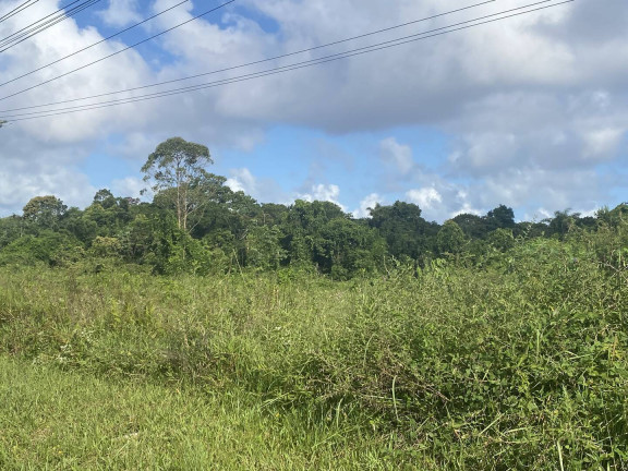 Imagem Terreno à Venda, 156.000 m² em Belas Artes - Itanhaém Imagem Terreno à Venda, 156.000 m² em Belas Artes - Itanhaém