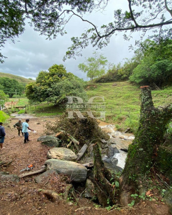 Imagem Imóvel com 3 Quartos à Venda, 629.200 m² em Nova Reta - Mendes