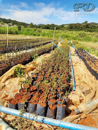 Imagem Chácara à Venda, 75.000 m² em Tanque - Atibaia Imagem Chácara à Venda, 75.000 m² em Tanque - Atibaia