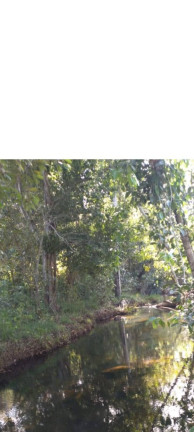 Imagem Fazenda à Venda, 18 m² em Zona Rural - Niquelândia Imagem Fazenda à Venda, 18 m² em Zona Rural - Niquelândia