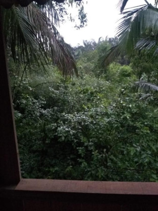Imagem Chácara à Venda, 1.240 m² em Estrada Do Anhaia - Morretes Imagem Chácara à Venda, 1.240 m² em Estrada Do Anhaia - Morretes
