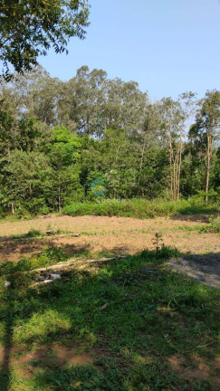 Imagem Chácara à Venda, 4 m² em Estrada Arroio Passo Fundo - Gravataí Imagem Chácara à Venda, 4 m² em Estrada Arroio Passo Fundo - Gravataí