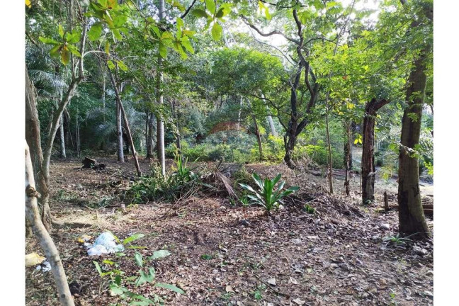 Imagem Terreno à Venda, 600 m² em Praia Do Forte - Mata De São João Imagem Terreno à Venda, 600 m² em Praia Do Forte - Mata De São João