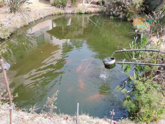 Imagem Fazenda à Venda, 25.800 m² em Caconde - Caconde