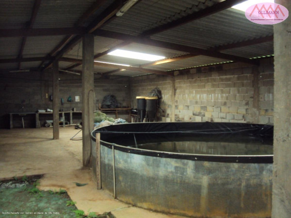 Imagem Imóvel com 1 Quarto à Venda, 83 m² em Plantação Com Certificação Orgânica Para O Brasil E Para A Europa. - Peruíbe