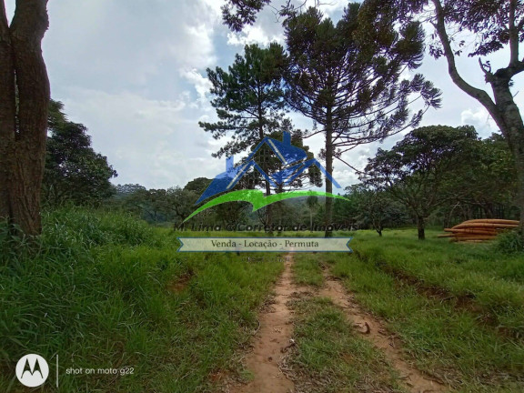 Imagem Terreno à Venda, 48 m² em Terra Preta - Mairiporã Imagem Terreno à Venda, 48 m² em Terra Preta - Mairiporã