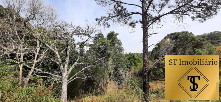 Imagem Chácara com 3 Quartos à Venda, 72.000 m² em Estância Santa Maria Do Portão - Atibaia