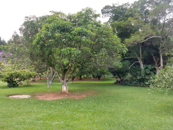 Imagem Chácara com 2 Quartos à Venda, 10 m² em Cerrado - Alambari Imagem Chácara com 2 Quartos à Venda, 10 m² em Cerrado - Alambari