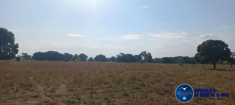 Imagem Fazenda à Venda, 300 m² em Zona Rural - Barra Do Garças Imagem Fazenda à Venda, 300 m² em Zona Rural - Barra Do Garças