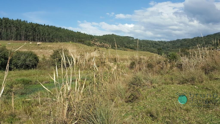 Imagem Terreno à Venda, 450.000 m² em Zona Rural - Bom Retiro Imagem Terreno à Venda, 450.000 m² em Zona Rural - Bom Retiro