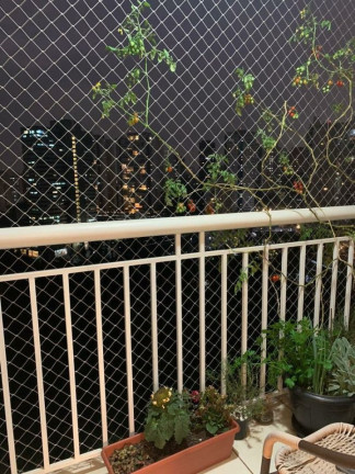Imagem Apartamento com 2 Quartos à Venda, 67 m² em Vila Andrade - São Paulo