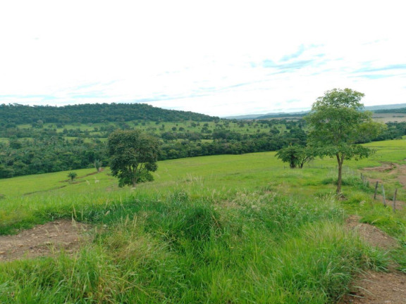 Imagem Chácara à Venda, em Cuiabá Imagem Chácara à Venda, em Cuiabá
