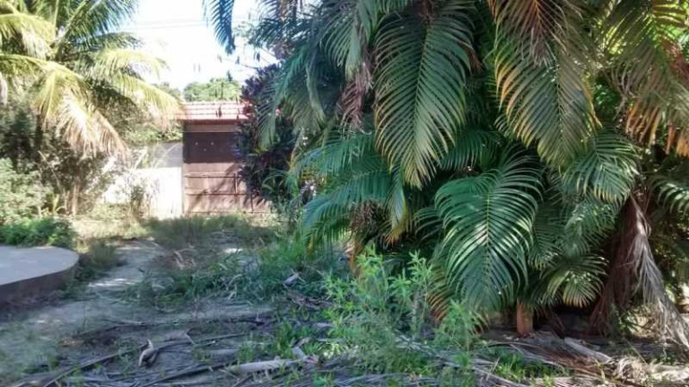 Imagem Imóvel com 5 Quartos à Venda, 25 m² em Guaratiba - Rio De Janeiro Imagem Imóvel com 5 Quartos à Venda, 25 m² em Guaratiba - Rio De Janeiro