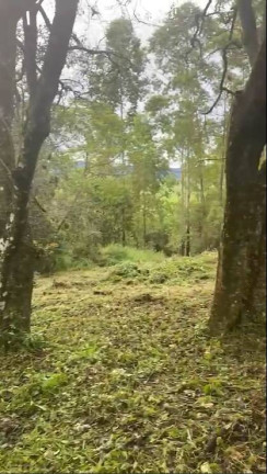 Imagem Terreno à Venda, 2 m² em Jordão (dona Lucinda) - Governador Celso Ramos Imagem Terreno à Venda, 2 m² em Jordão (dona Lucinda) - Governador Celso Ramos