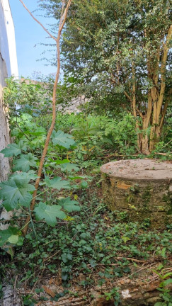 Imagem Terreno à Venda, 378 m² em Iguaçu - Fazenda Rio Grande Imagem Terreno à Venda, 378 m² em Iguaçu - Fazenda Rio Grande