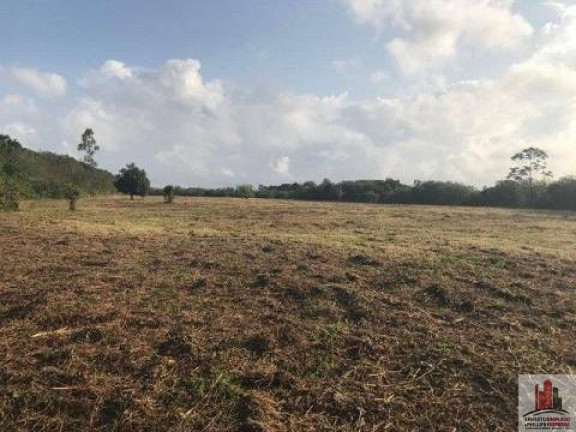 Imagem Terreno à Venda, 50.000 m² em Aldeia Dos Camarás - Camaragibe Imagem Terreno à Venda, 50.000 m² em Aldeia Dos Camarás - Camaragibe