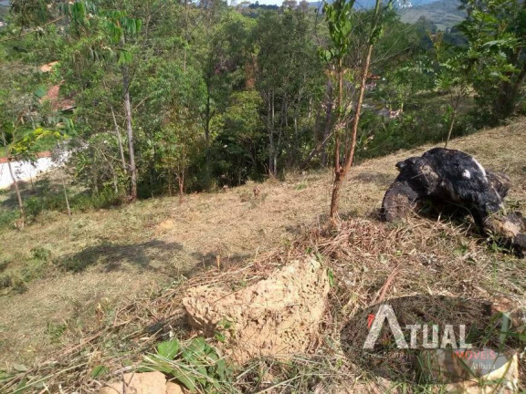 Imagem Terreno à Venda, 1 m² em Terra Preta - Mairiporã