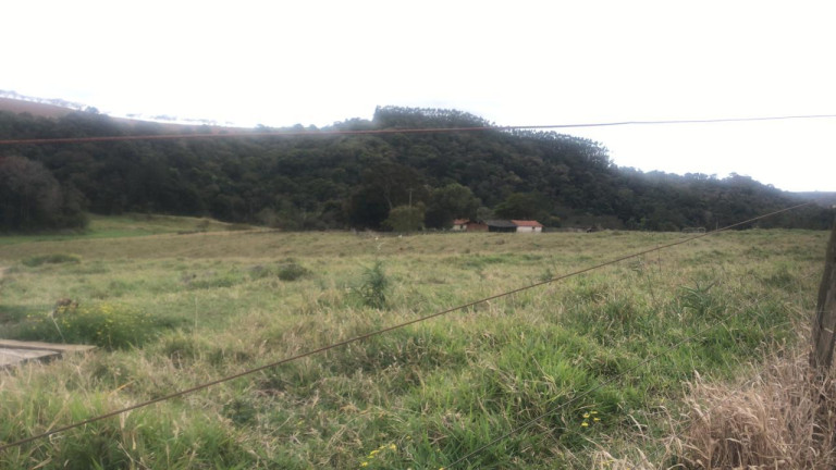Imagem Fazenda à Venda, 59 m² em Rural - São Miguel Arcanjo