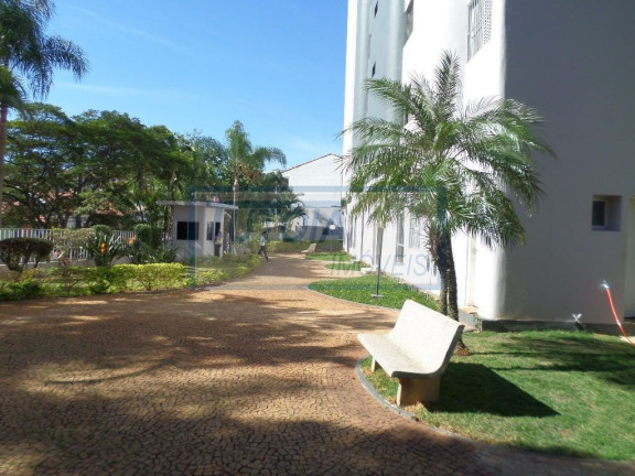 Imagem Apartamento com 3 Quartos à Venda, 87 m² em Jardim Da Saude - Sao Paulo Imagem Apartamento com 3 Quartos à Venda, 87 m² em Jardim Da Saude - Sao Paulo