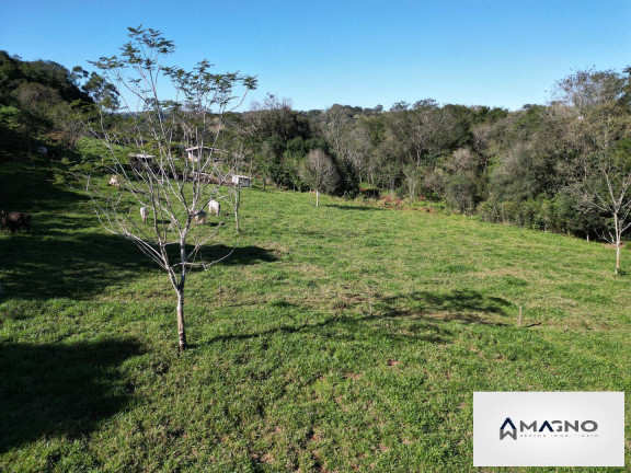 Imagem Chácara com 2 Quartos à Venda, 36.000 m² em Centro - Lindoeste