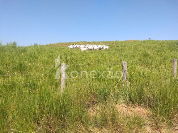 Imagem Fazenda à Venda, 150 m² em Marambaia - Caçapava Imagem Fazenda à Venda, 150 m² em Marambaia - Caçapava