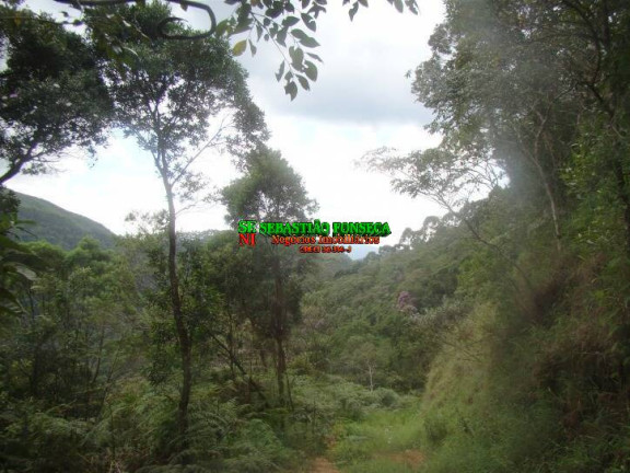 Imagem Chácara à Venda, 200 m² em São Francisco Xavier - São José Dos Campos Imagem Chácara à Venda, 200 m² em São Francisco Xavier - São José Dos Campos