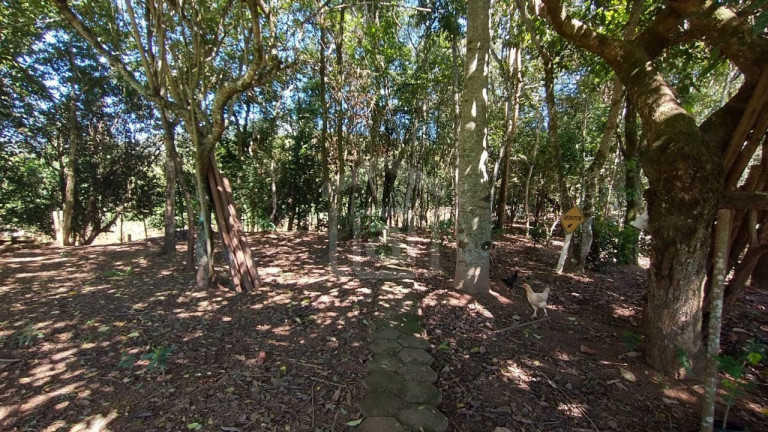 Imagem Imóvel com 3 Quartos à Venda, 3.800 m² em Souza Lima - Poços De Caldas Imagem Imóvel com 3 Quartos à Venda, 3.800 m² em Souza Lima - Poços De Caldas