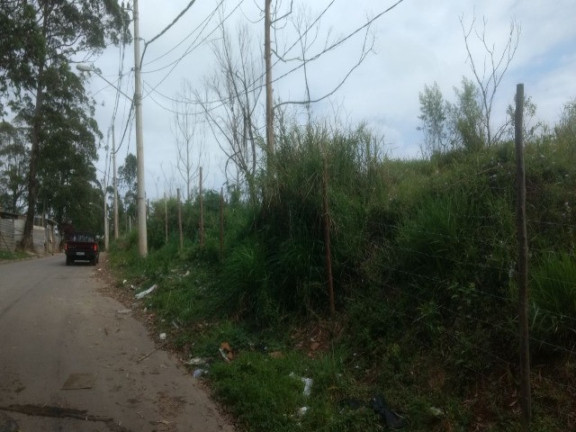 Imagem Terreno à Venda, 55.000 m² em Colônia (zona Leste) - São Paulo