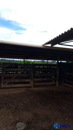 Imagem Chácara à Venda, 5 m² em Zona Rural - Mairipotaba Imagem Chácara à Venda, 5 m² em Zona Rural - Mairipotaba