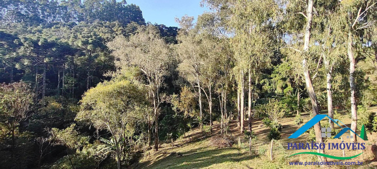 Imagem Chácara com 1 Quarto à Venda, 22 m² em Centro - Paraisópolis