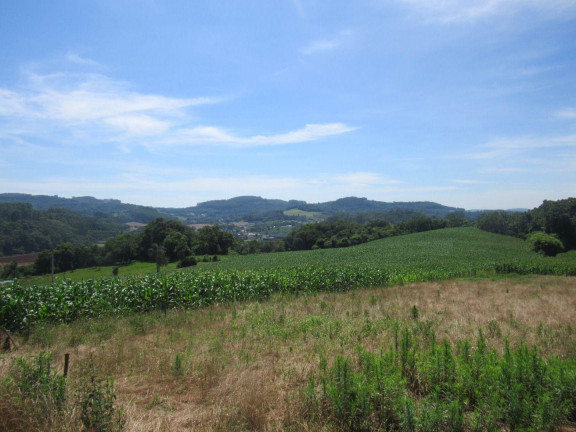 Imagem Terreno à Venda, 90.000 m² em Rural - Concórdia Imagem Terreno à Venda, 90.000 m² em Rural - Concórdia