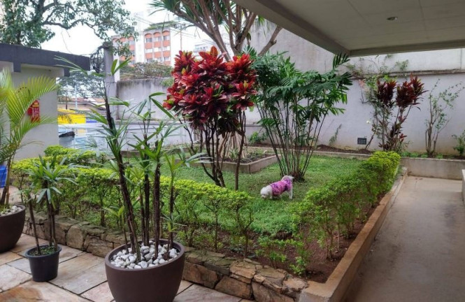 Imagem Imóvel com 3 Quartos à Venda, 110 m² em Vila Mariana - São Paulo Imagem Imóvel com 3 Quartos à Venda, 110 m² em Vila Mariana - São Paulo
